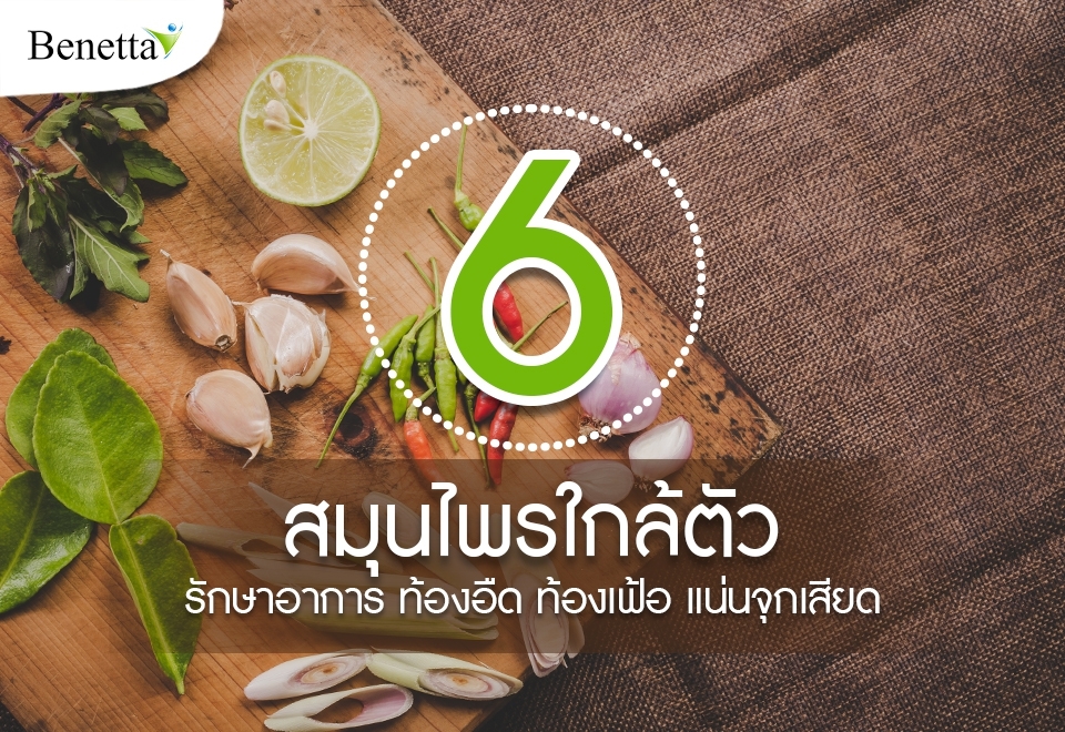 6 สมุนไพรใกล้ตัว รักษาท้องอืด ท้องเฟ้อ แน่นจุกเสียด